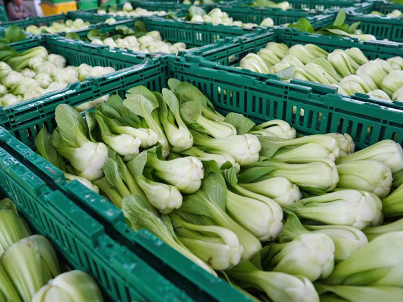 塑料周轉（zhuǎn）筐（kuāng）應用於超市（shì）菜